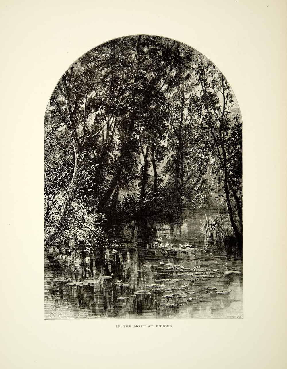 1879 Wood Engraving Art Moat Bruges Belgium Duck Lilly Pad Trees Edward YPE4