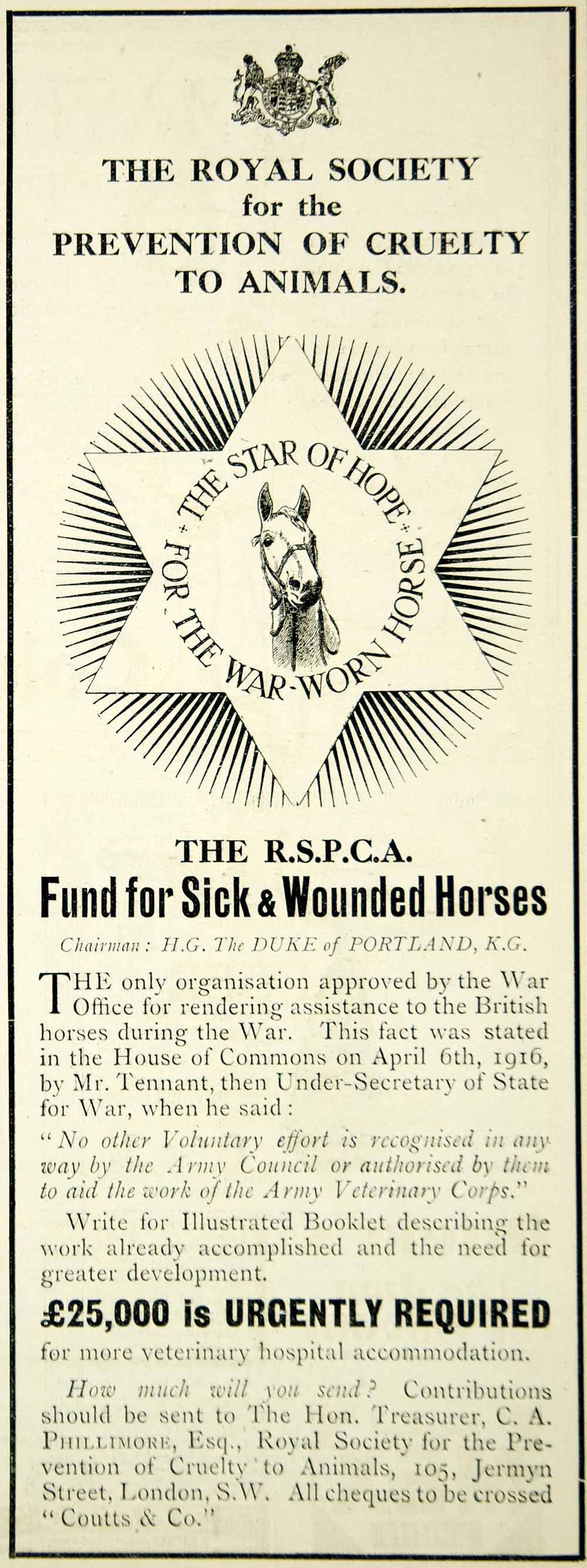 1916 Ad WWI Horses Royal Society for the Prevention of Cruelty to Animals RSPCA