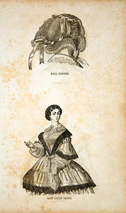 1856 Wood Engraving Antique Victorian Fashion Bonnet Dress Costume Lady YPM2