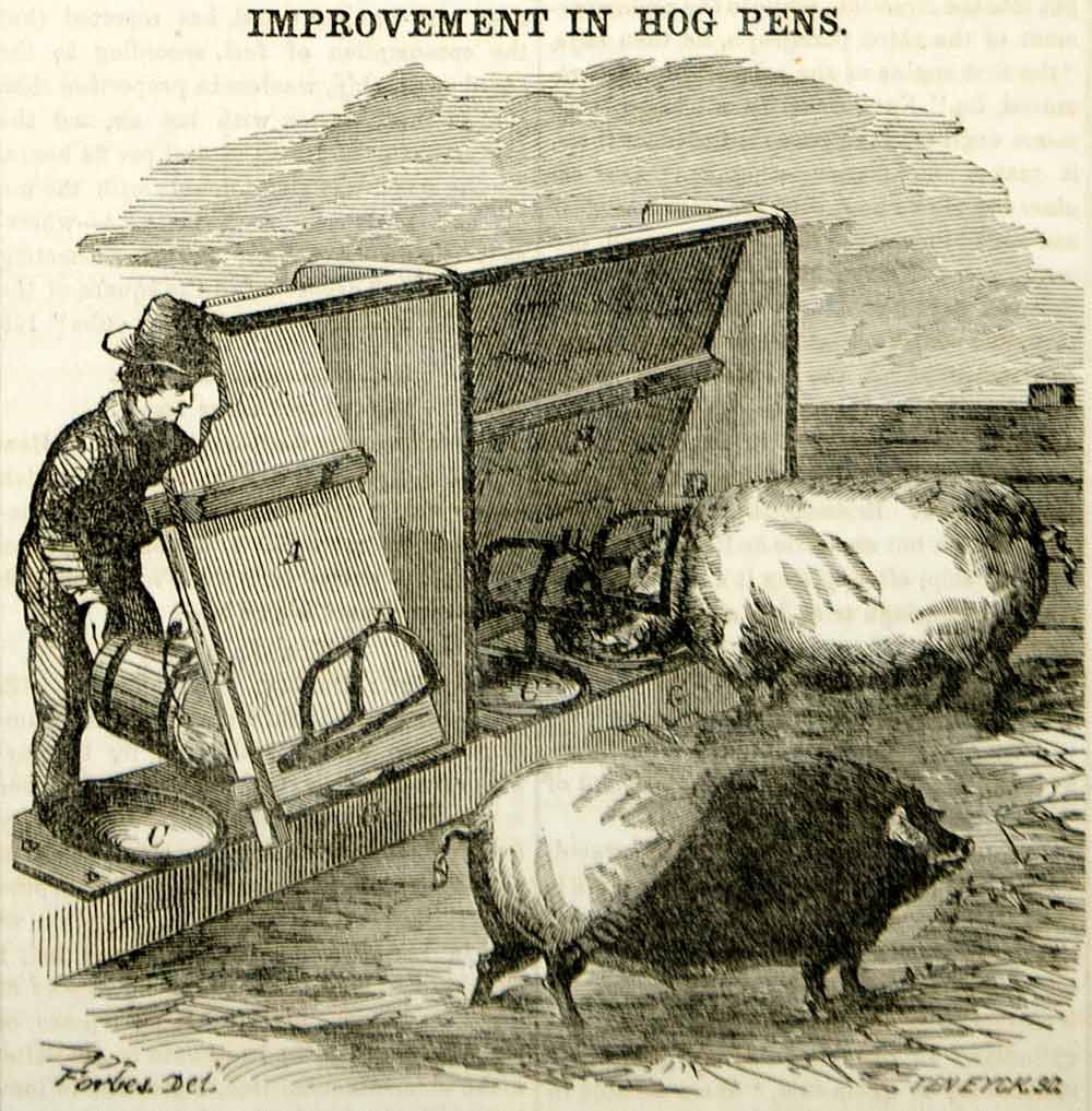1855 Wood Engraving Antique Hog Pen Pig Farm Animal Agriculture