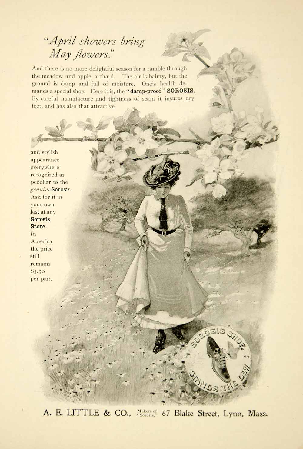 1902 Ad Vintage Sorosis Shoes Edwardian Lady Apple Tree Orchard May Flowers YSN2