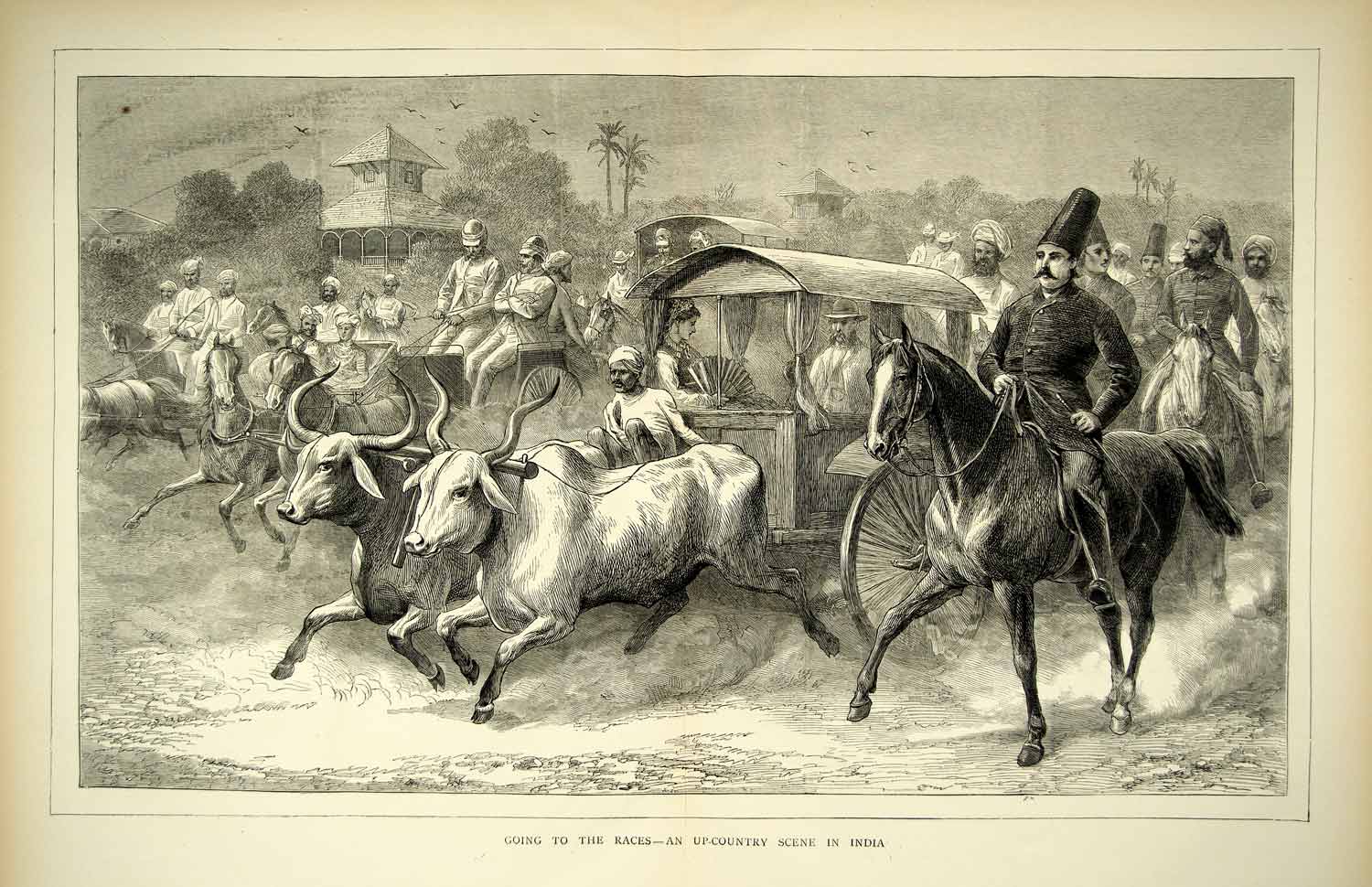 1872 Wood Engraving Art Horse Race Sports India Asia Victorian Zebu Ox YTG3
