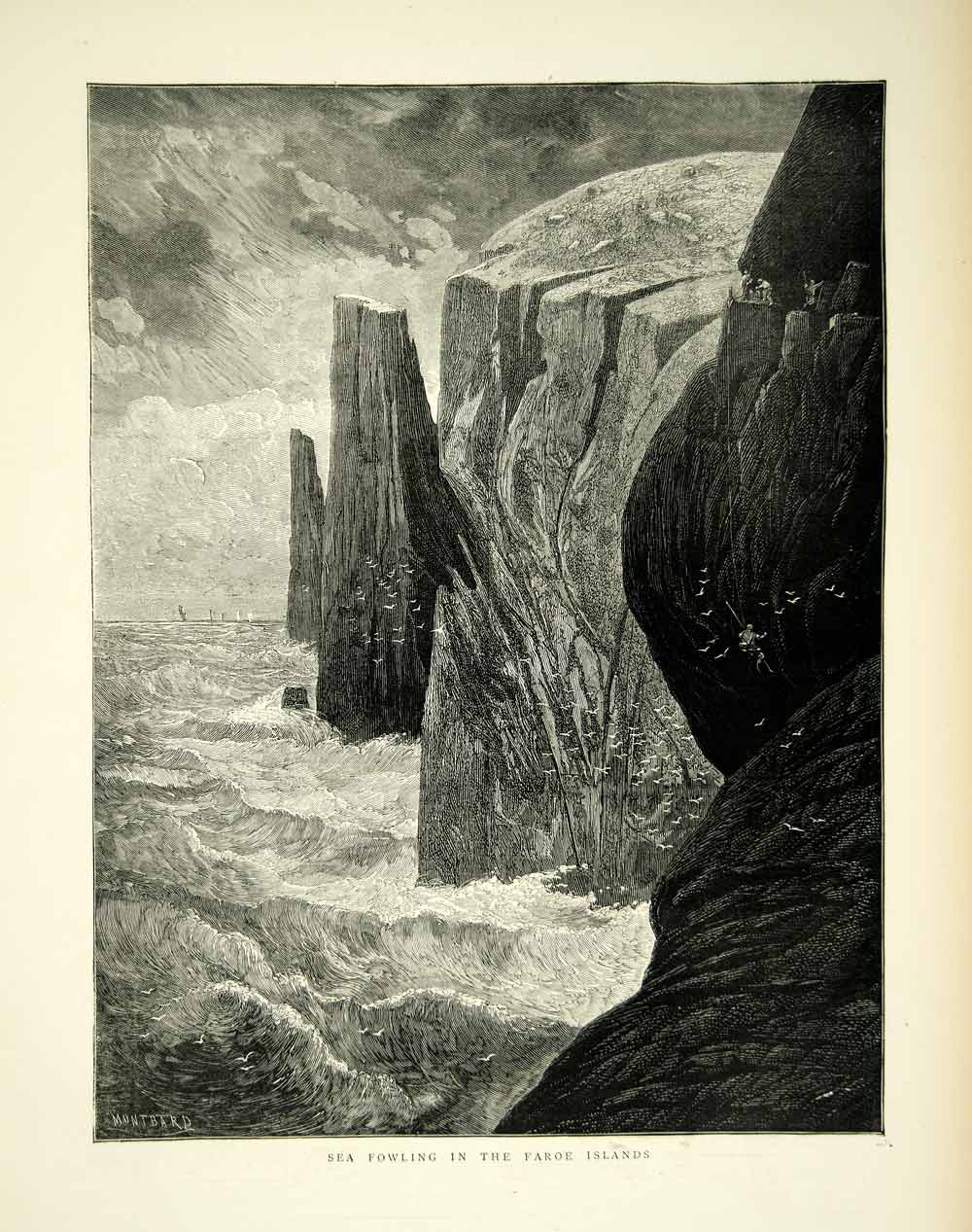 1872 Wood Engraving Art Seabird Hunting Bispen Peak Rock Faroe Islands YTG4