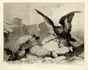 1873 Wood Engraving CH Weigall Art Hyena Vulture Bird Gazelle Animal Nature YTG6