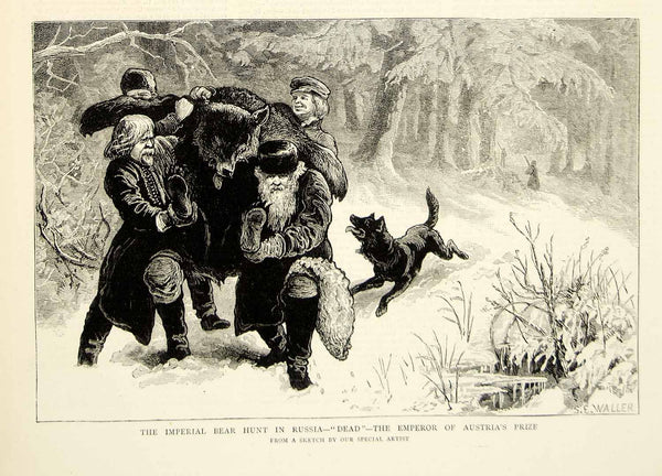 絵画。原画【Bear bought bread】 1874 Wood Engraving Samuel E Waller Art Bear Hunt Russia Franz