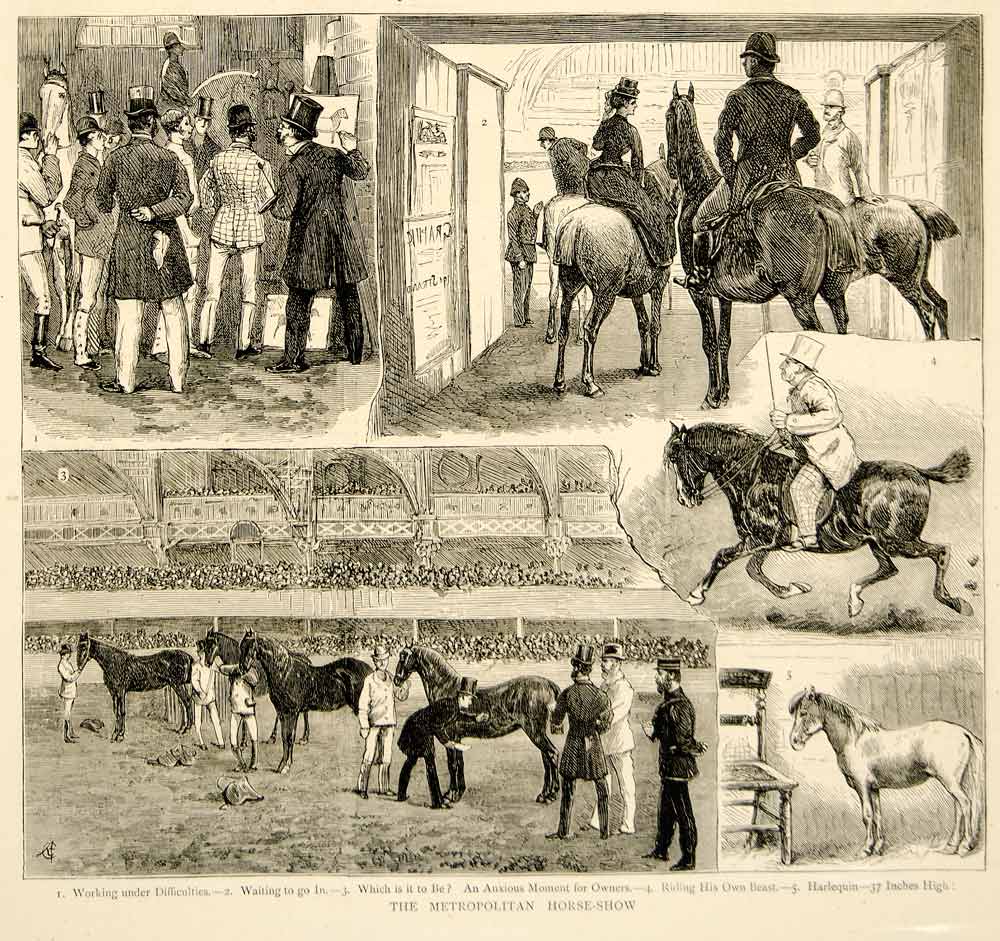 1874 Wood Engraving Art Metropolitan Horse Show Agricultural Hall London UK YTG8
