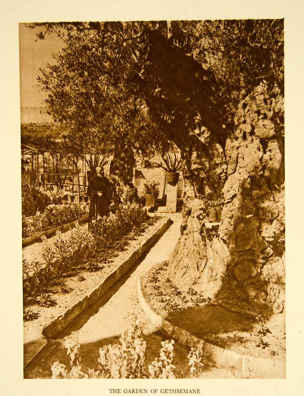 1924 Photogravure Gethsemane Garden Jerusalem Holy Land Jesus Biblical YTMM4