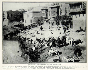 1916 Print Baghdad Iran Tigris River Water Carriers Mules Waterskins YTR2