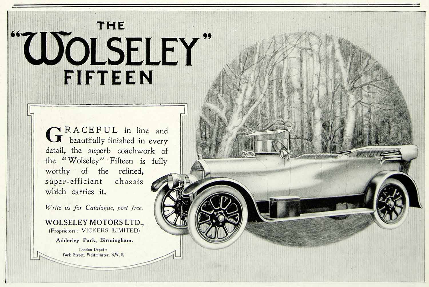 1918 Ad Wolseley Fifteen Chassis Car Birmingham Automobile Vehicle Trees YTT1