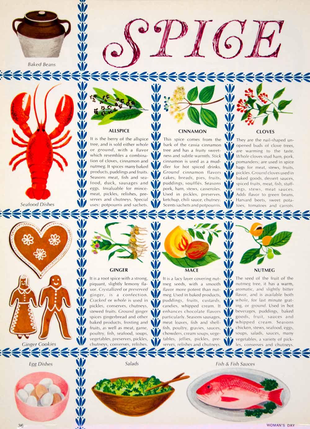 1964 Color Print Spice Chart Allspice Cloves Ginger Pepper Saffron Cooking YWD2