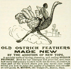 1899 Ad Ostrich Feathers Methot 53C Temple Place Boston African Bird YYC1