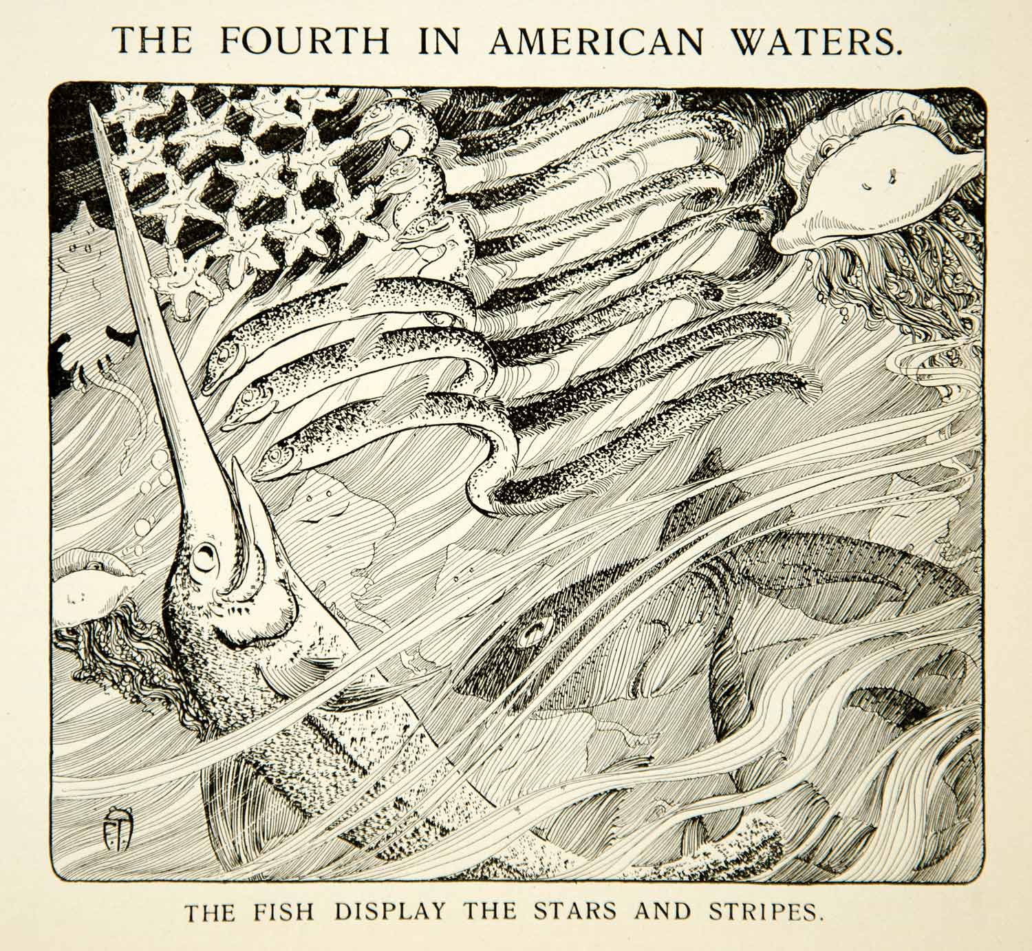 1904 Print Stars Stripes Fish American Flag Patriotic Marine Starfish YYC2