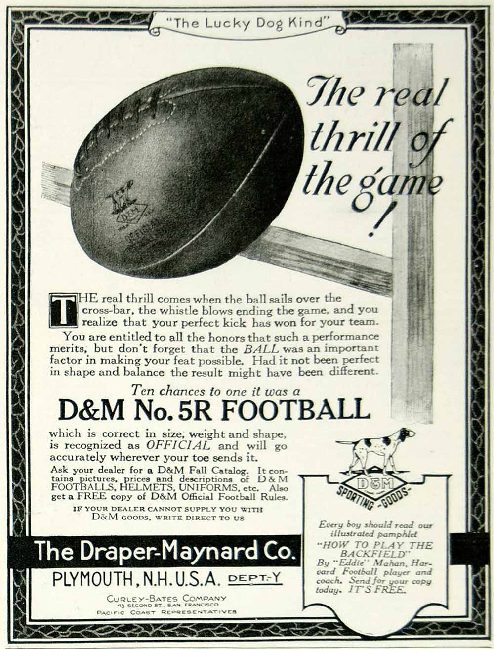 1924 Ad Draper-Maynard D&M No 5R Football Sporting Goods Athlete Lucky Dog YYC5