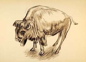 1944 Print Ernst Denzler Wildlife Charcoal Bison Ox Art ORIGINAL HISTORIC ZMT1