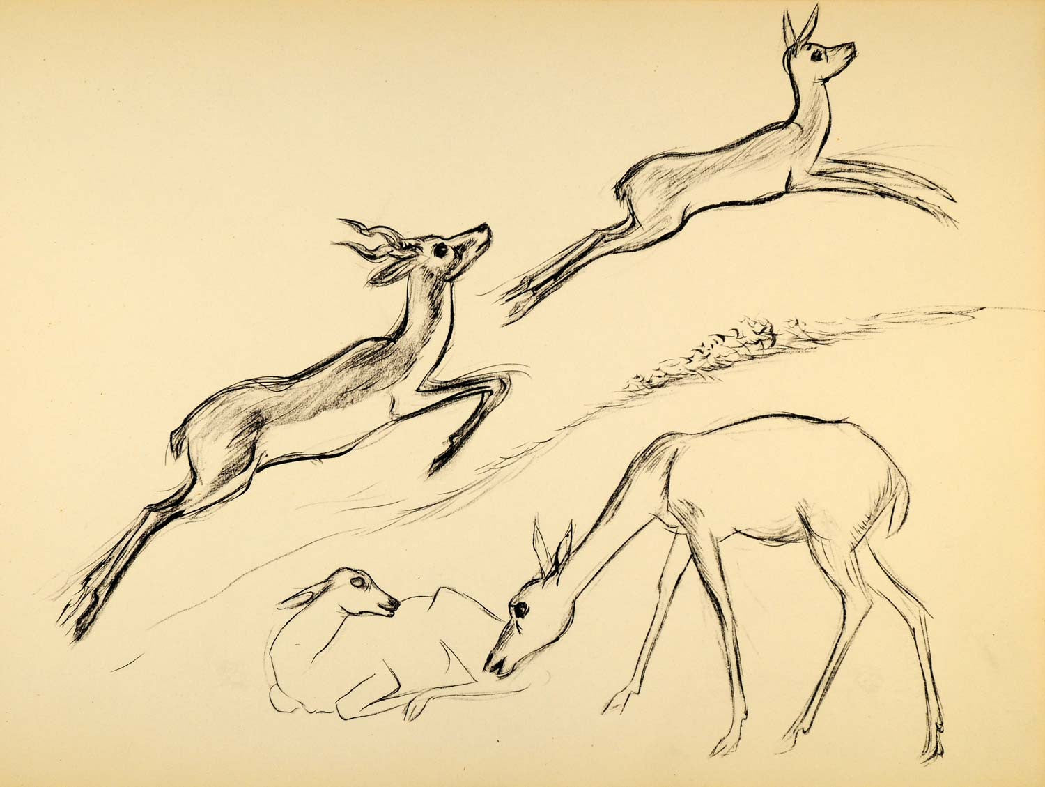 1944 Print Ernst Denzler Wildlife Charcoal Deer Buck - ORIGINAL HISTORIC ZMT1 - Period Paper
