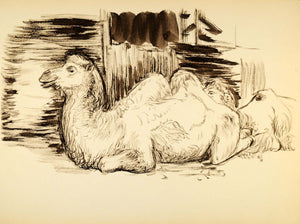 1944 Print Wildlife Art Ernst Denzler Charcoal Camel - ORIGINAL HISTORIC ZMT1