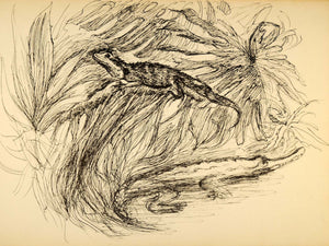 1944 Print Wildlife Art Ernst Denzler Lizard Alligator ORIGINAL HISTORIC ZMT1