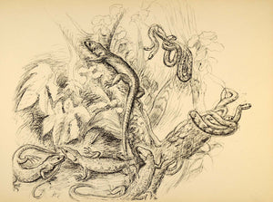 1944 Print Wildlife Art Ernst Denzler Reptiles Snakes - ORIGINAL HISTORIC ZMT1