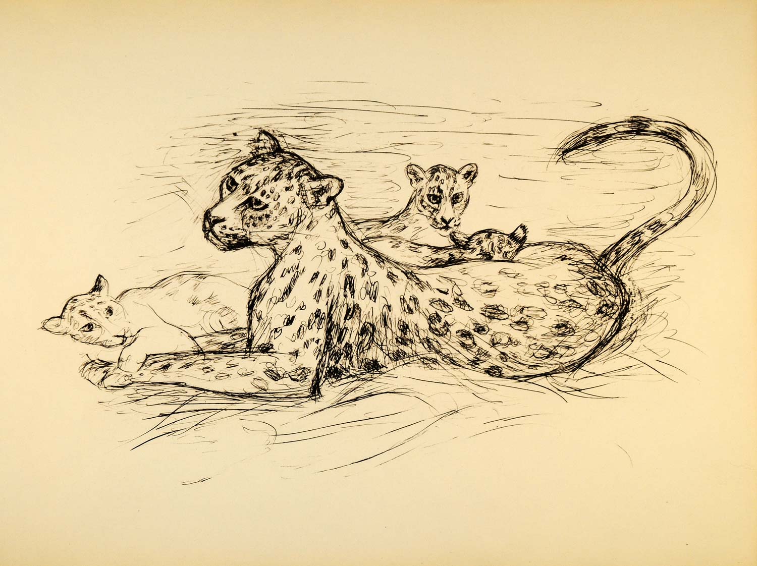 1944 Print Wildlife Art Ernst Denzler Spotted Leopards ORIGINAL HISTORIC ZMT1