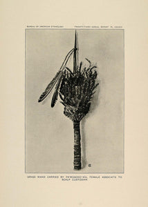 1904 Print Zuni Grass Wand Pamosonokia Scalp Custodian ORIGINAL HISTORIC ZN1
