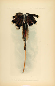 1904 Zuni Feathers Hlewekwe Sword Swallower Fraternity - ORIGINAL ZN1