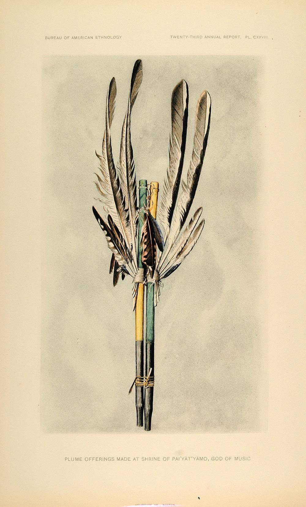 1904 Zuni Plume Stick Offerings Feathers Lithograph - ORIGINAL ZN1
