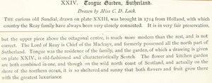 1878 Lithograph Catherine G Loch Art House Tongue Botanical Garden Scotland ZZ15